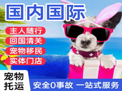 兰旗航空货运国际宠物托运 【国